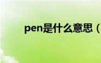 pen是什么意思（pen是什么意思）