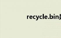 recycle.bin是什么文件夹